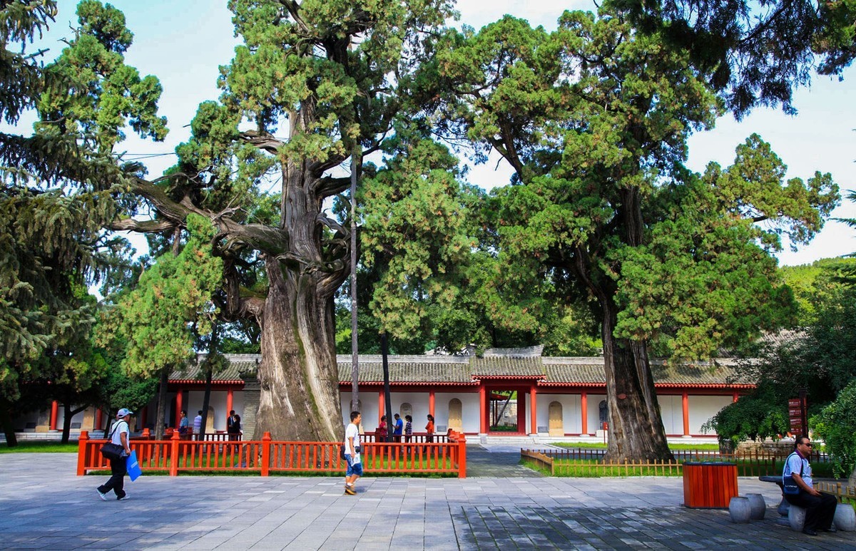 我只是把出去看到的随手记录下来（102）