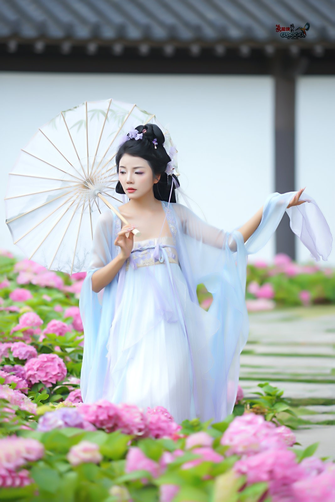 【蝴蝶花仙子】---叶子