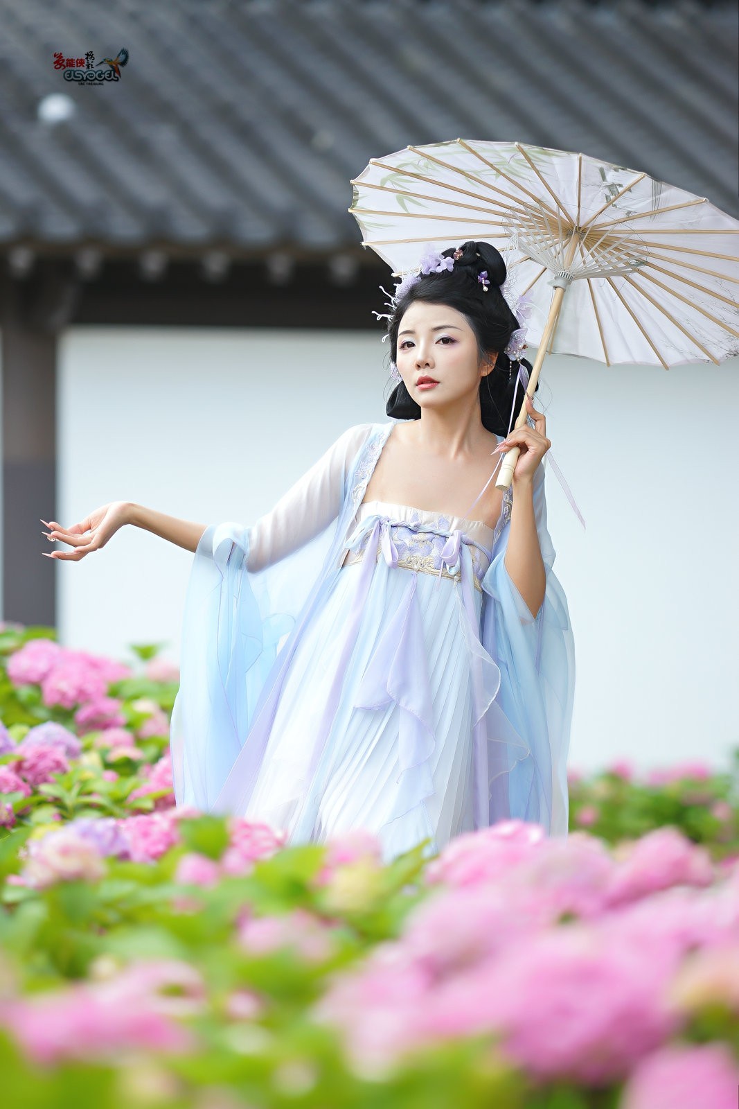 【蝴蝶花仙子】---叶子