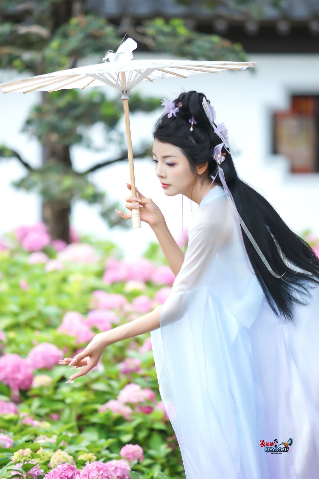 【蝴蝶花仙子】---叶子