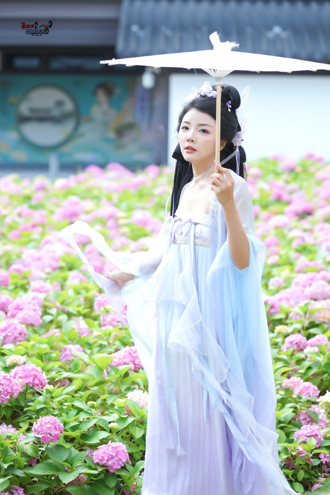 【蝴蝶花仙子】---叶子