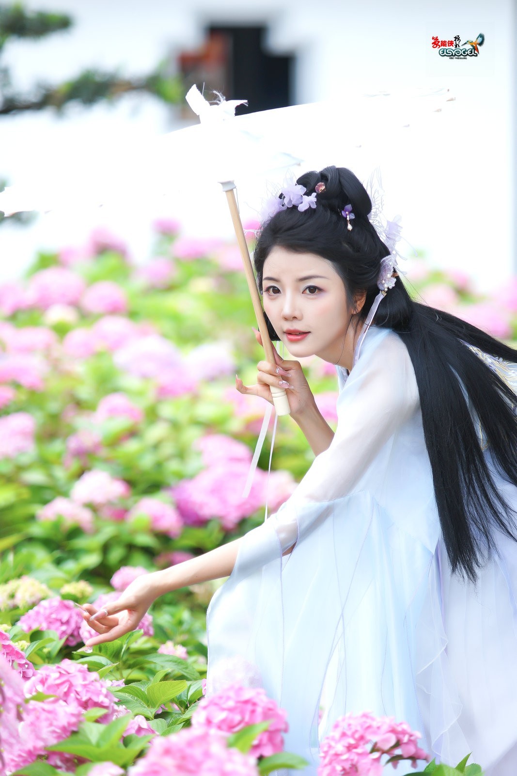 【蝴蝶花仙子】---叶子