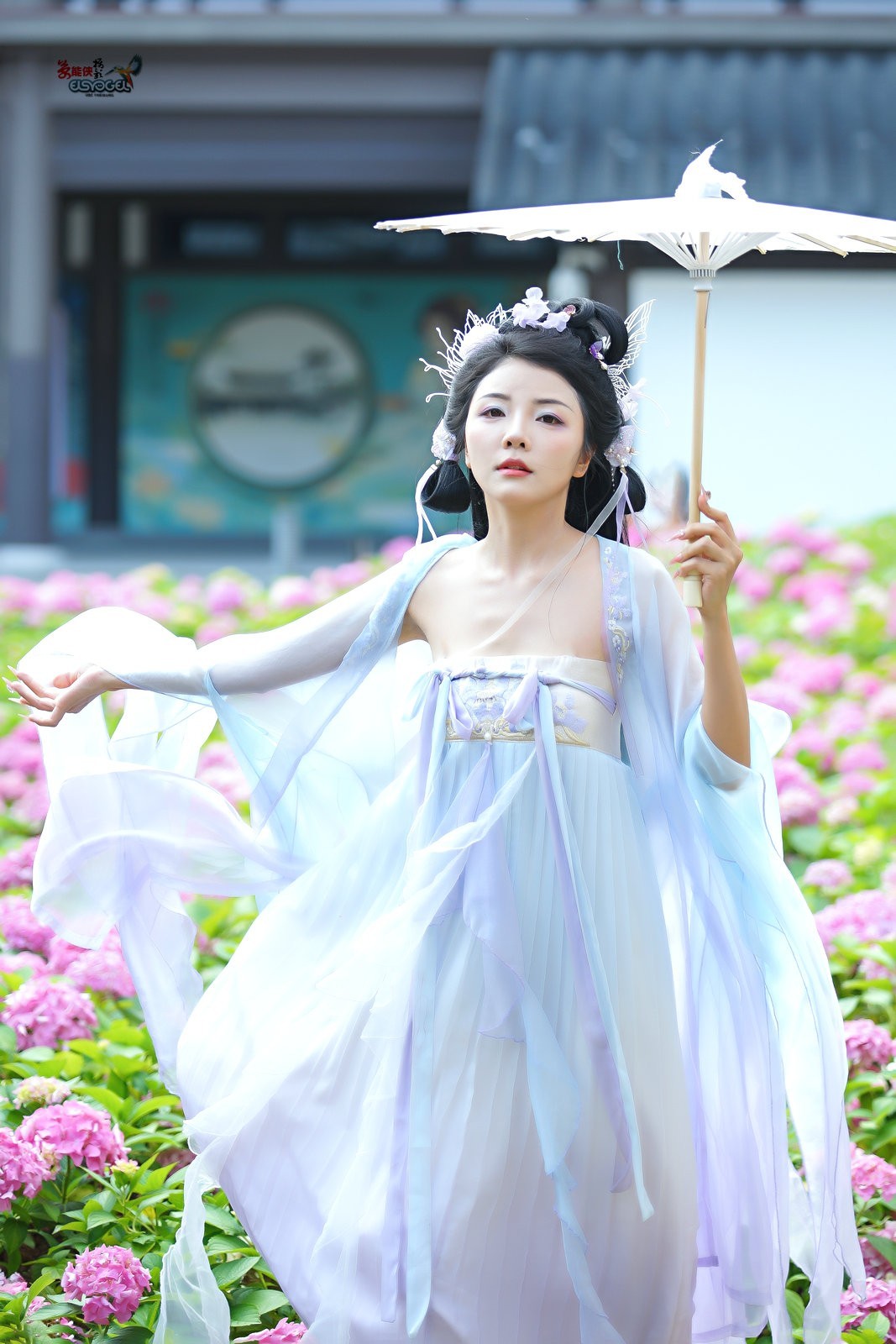 【蝴蝶花仙子】---叶子