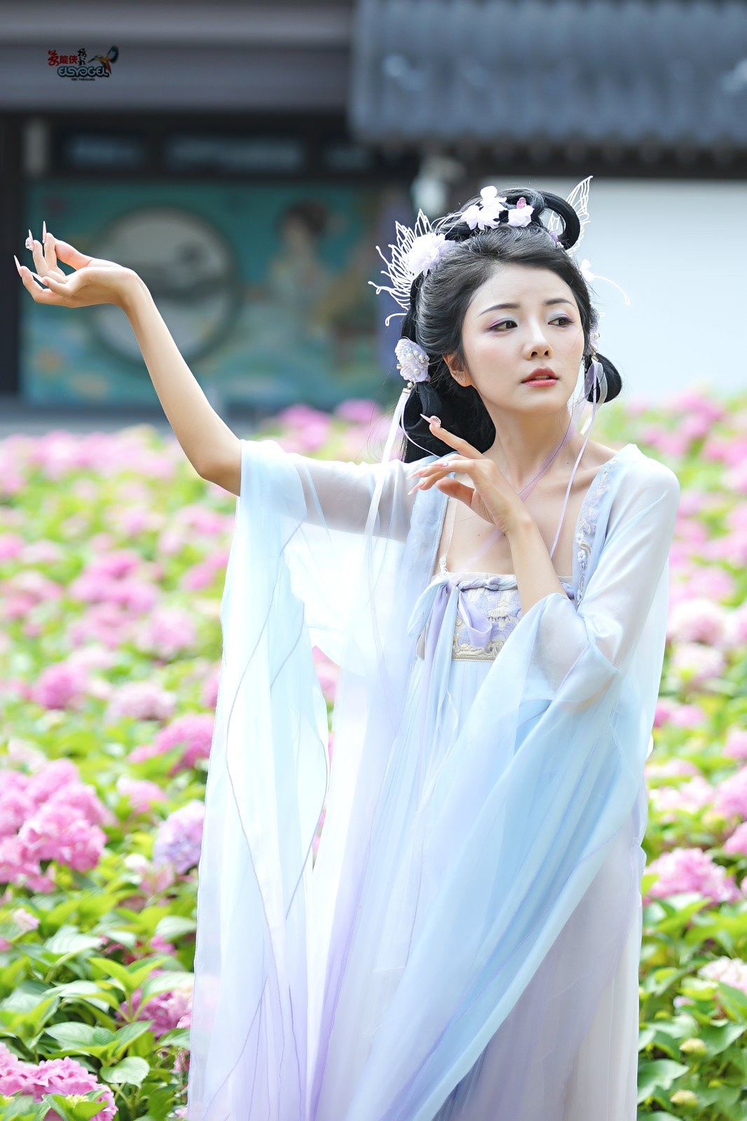 【蝴蝶花仙子】---叶子