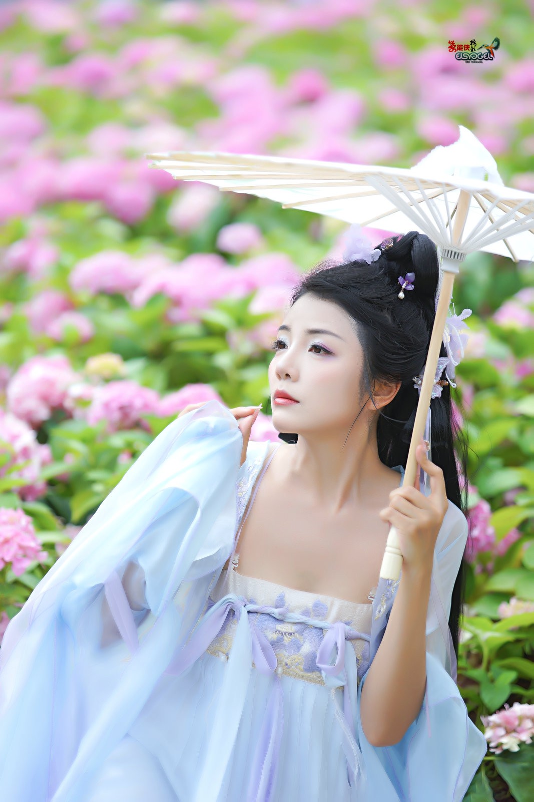 【蝴蝶花仙子】---叶子