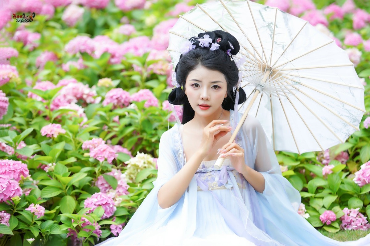 【蝴蝶花仙子】---叶子