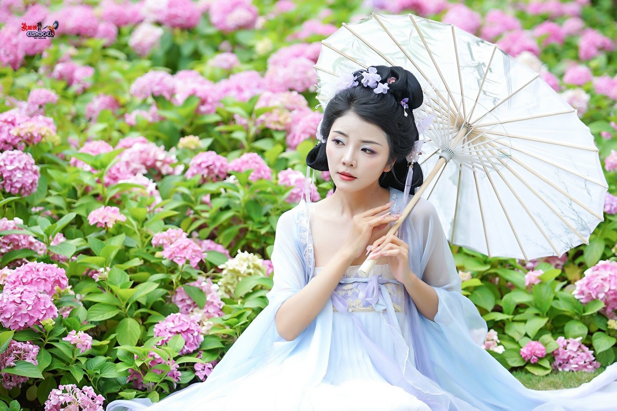 【蝴蝶花仙子】---叶子