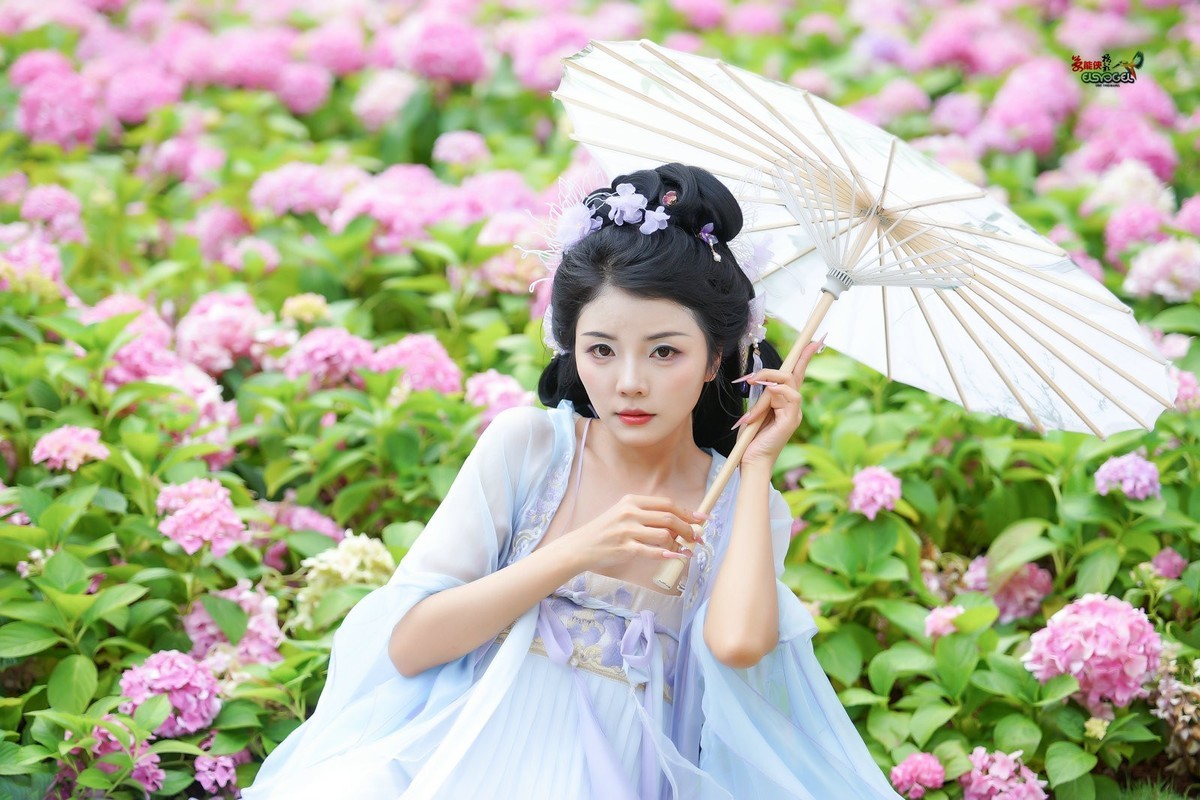 【蝴蝶花仙子】---叶子