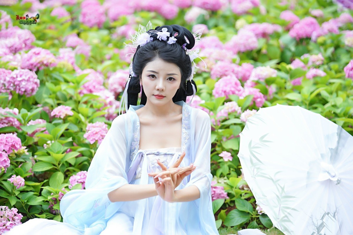 【蝴蝶花仙子】---叶子