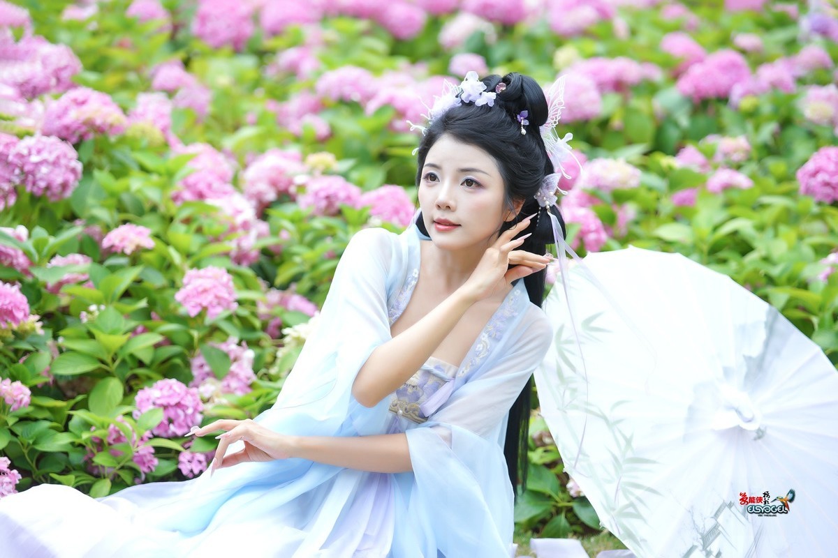 【蝴蝶花仙子】---叶子