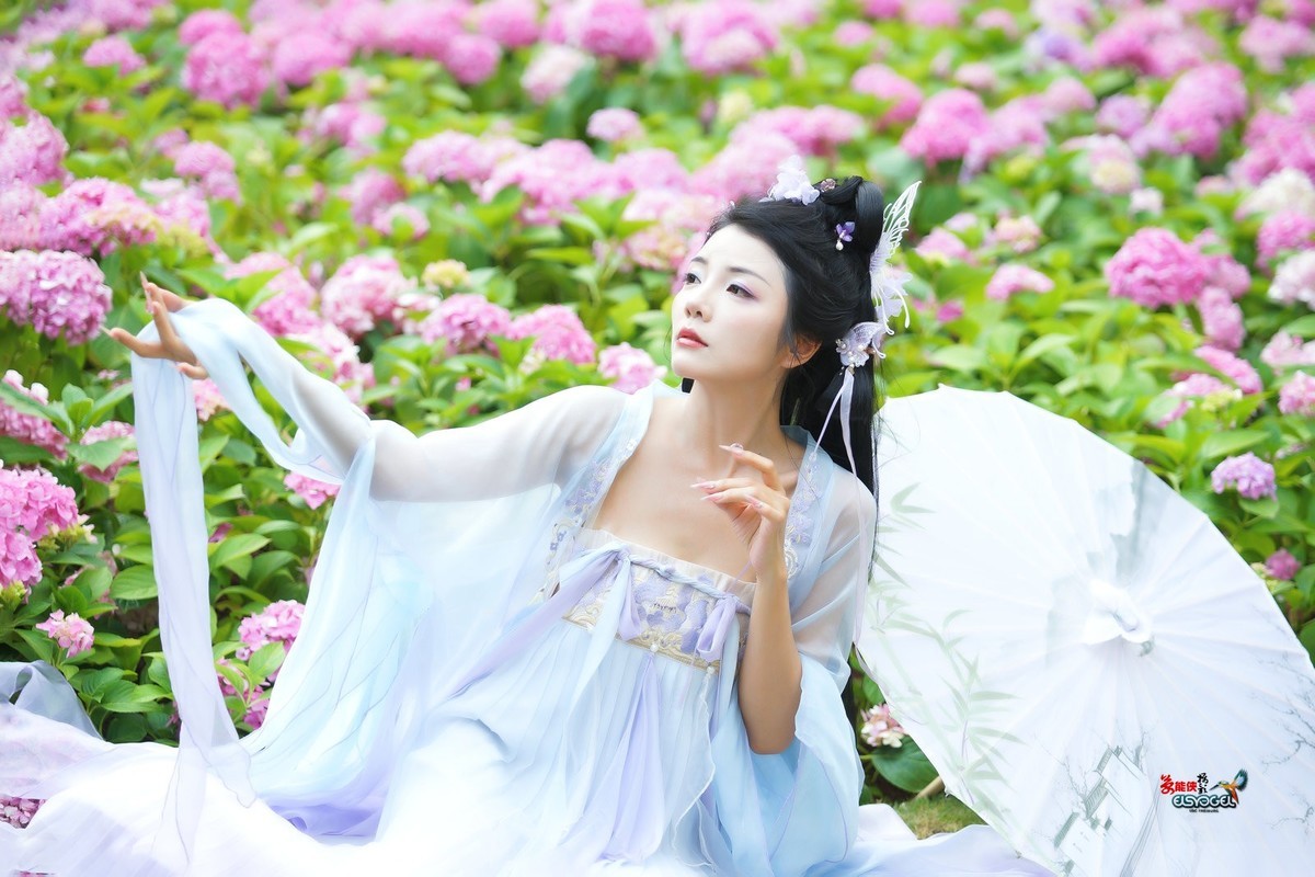 【蝴蝶花仙子】---叶子