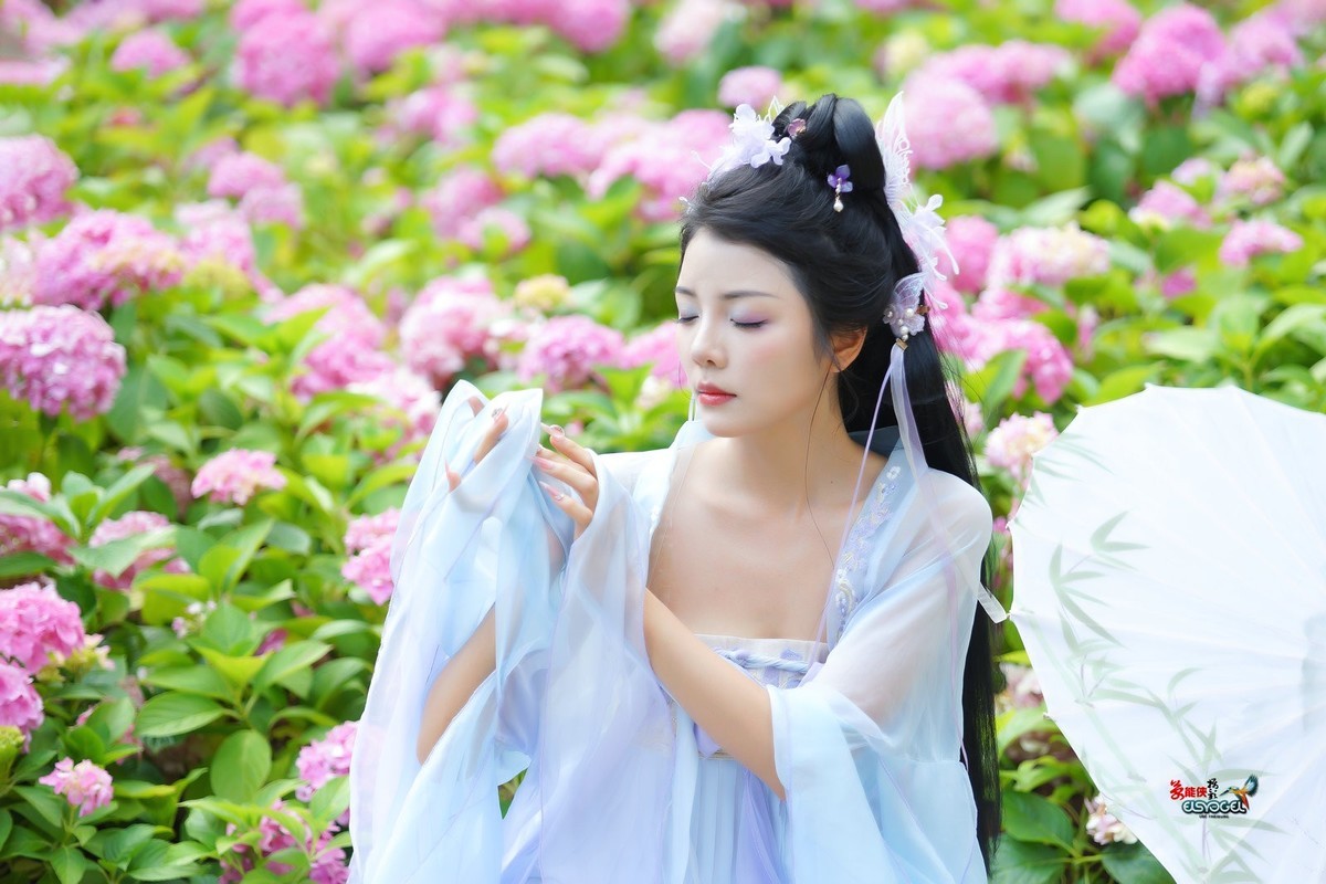 【蝴蝶花仙子】---叶子