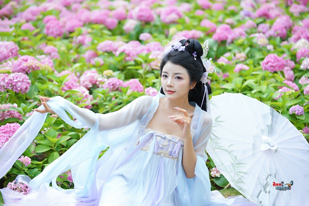 【蝴蝶花仙子】---叶子