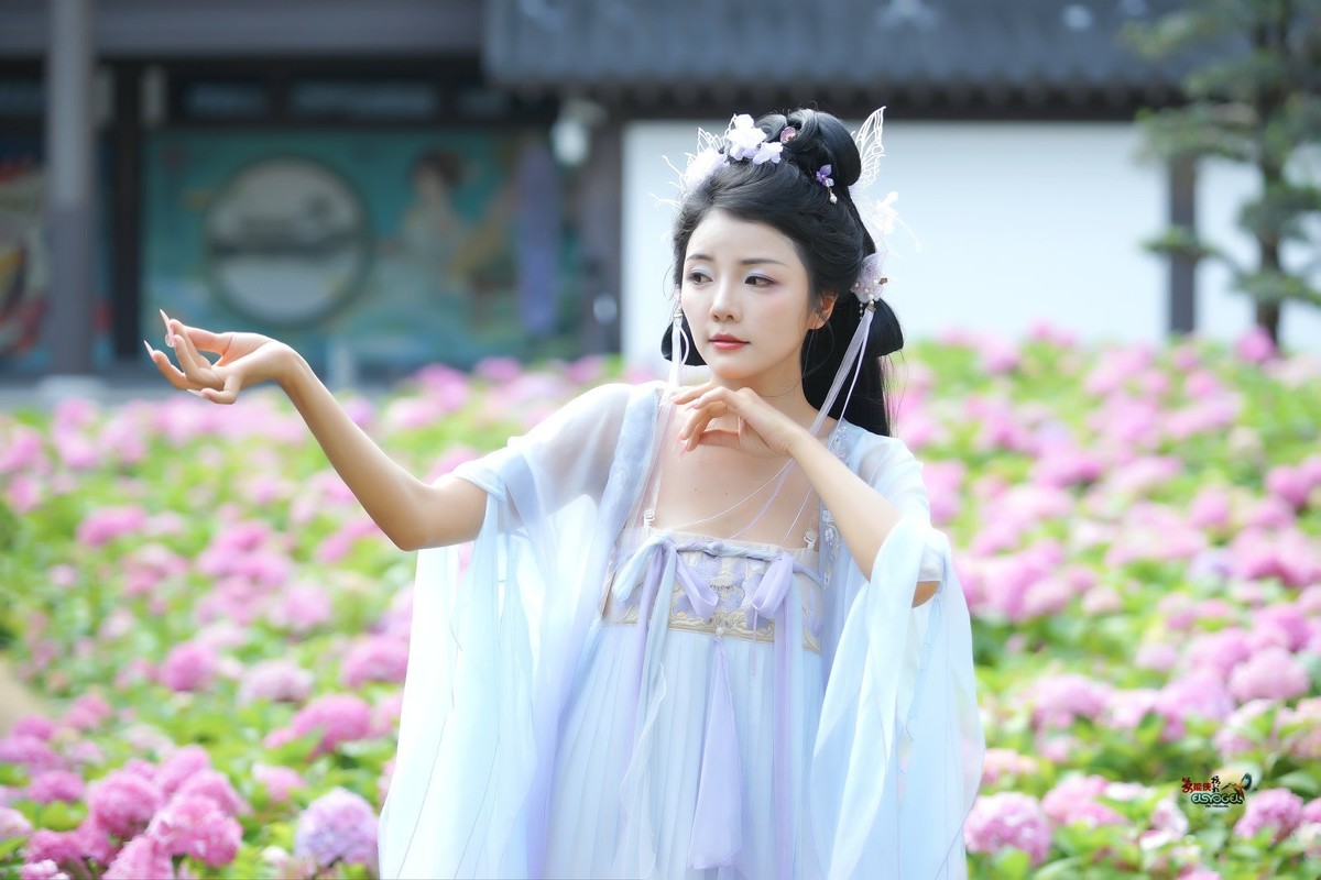 【蝴蝶花仙子】---叶子