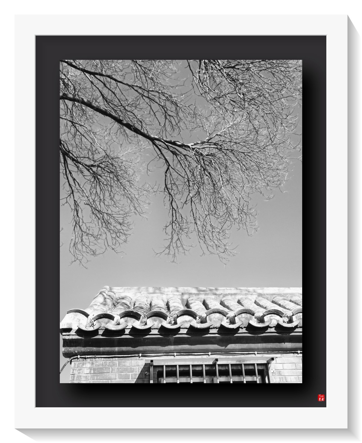 胡同光影摇曳岁月悠悠 （手机版）！