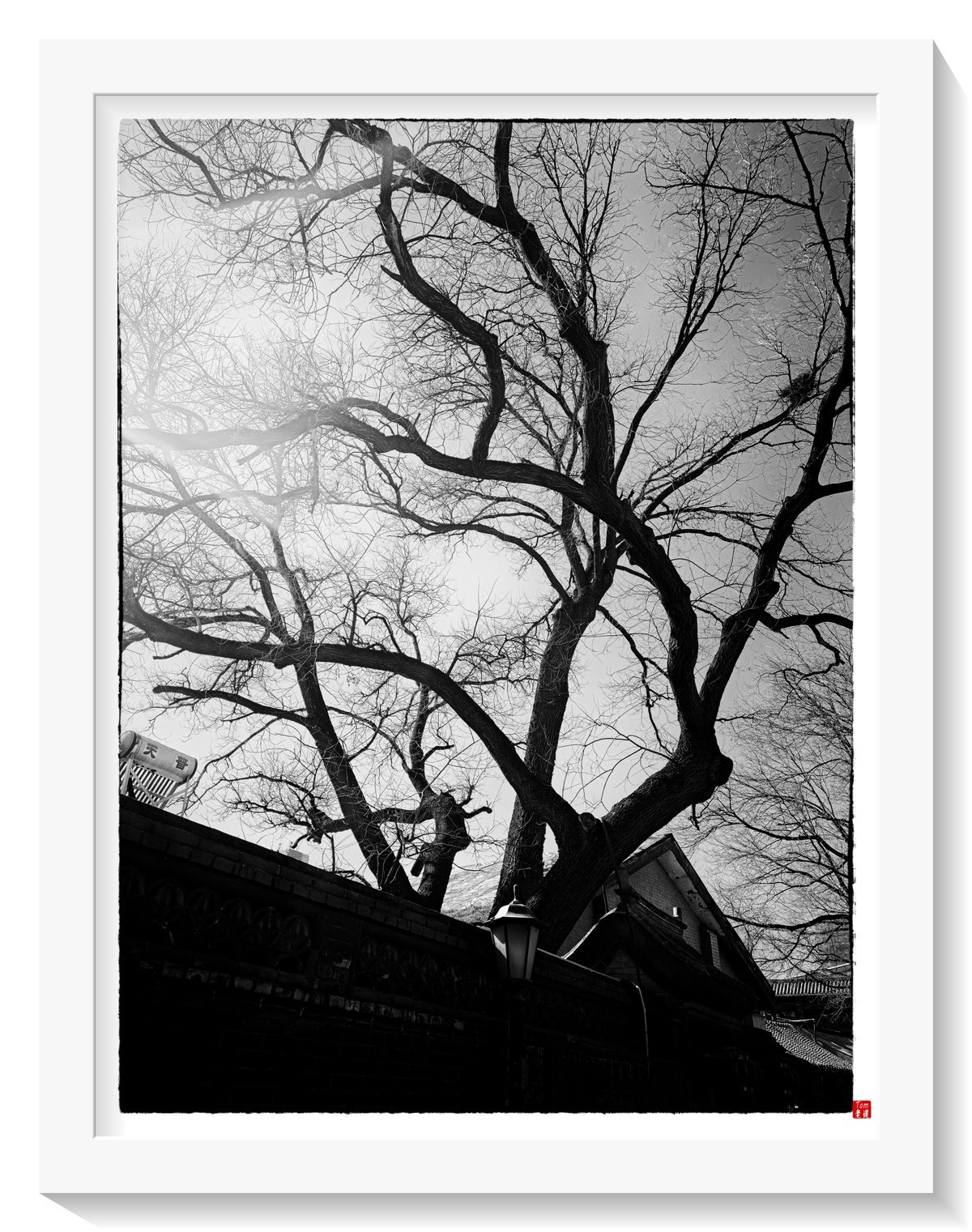 胡同光影摇曳岁月悠悠 （手机版）！