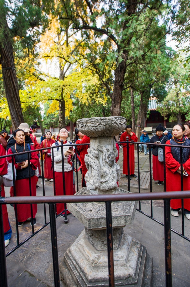 外出随拍（续391）.