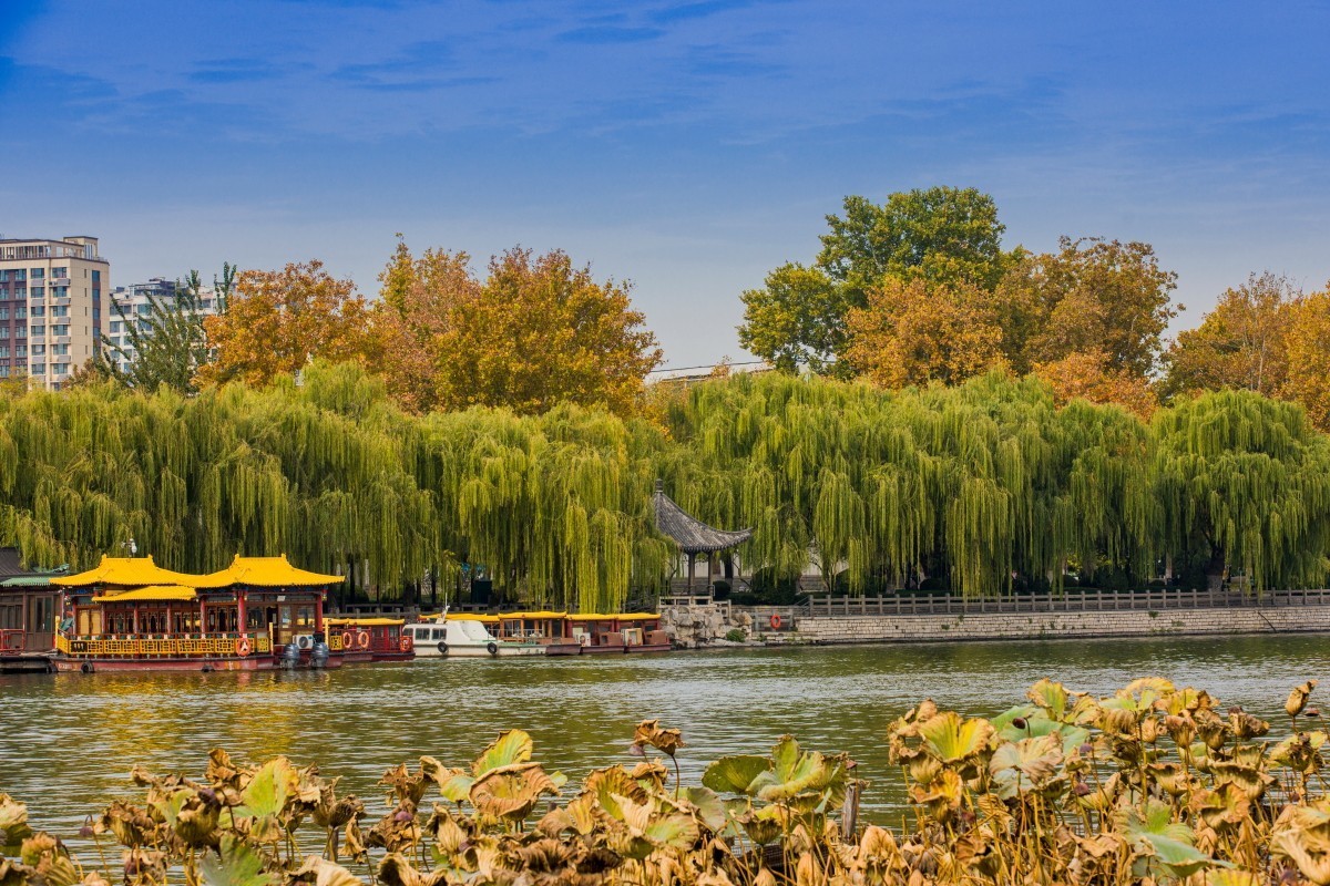 外出随拍（续392）.