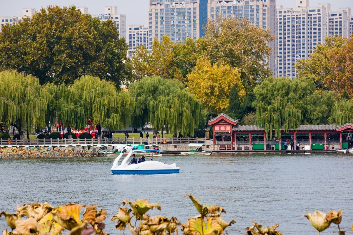 外出随拍（续392）.