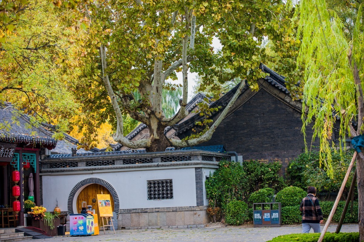 外出随拍（续392）.