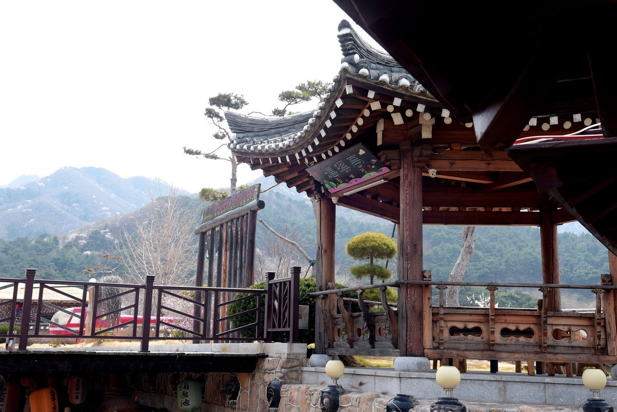 春游韩园（四）