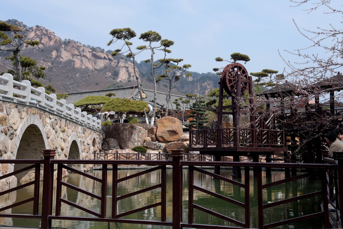 春游韩园（四）