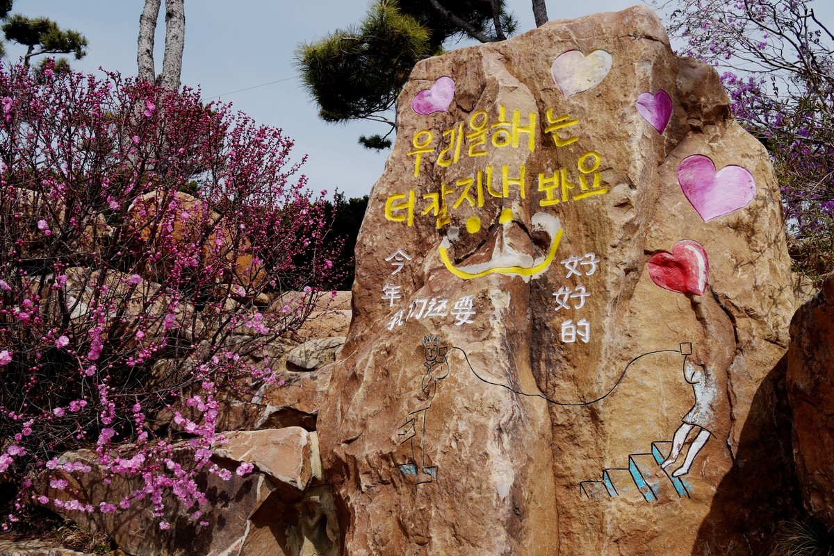 春游韩园（四）