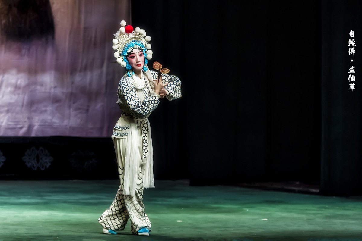 舞台摄影：传统川剧《白蛇传 》之《盗仙草》（2）