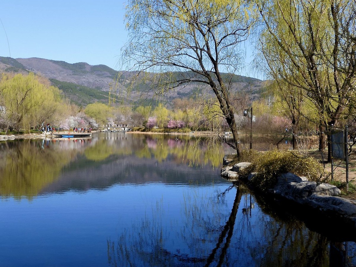 北 京 植 物 园---- 春 色