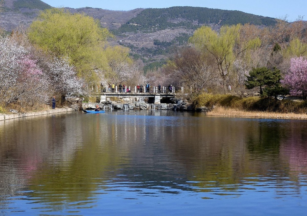 北 京 植 物 园---- 春 色