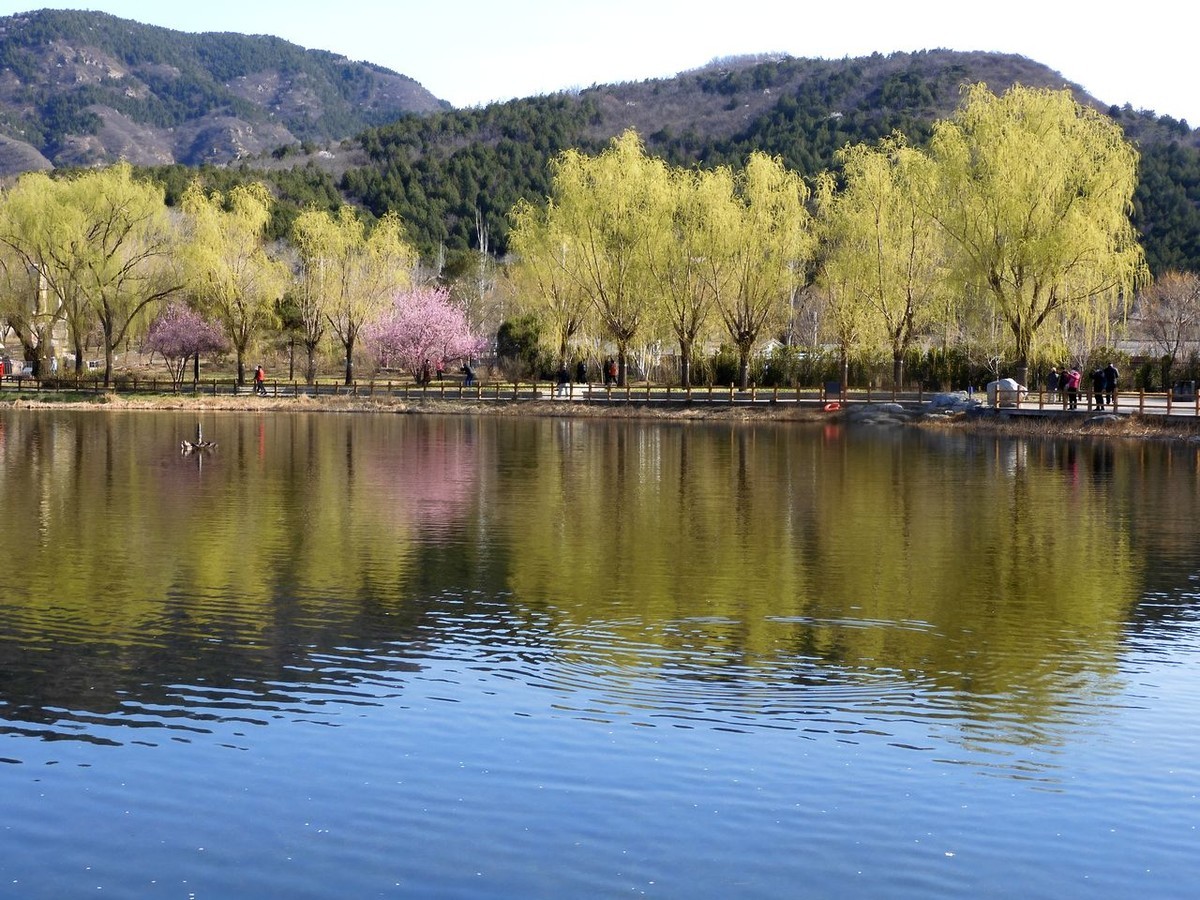 北京植物園春色