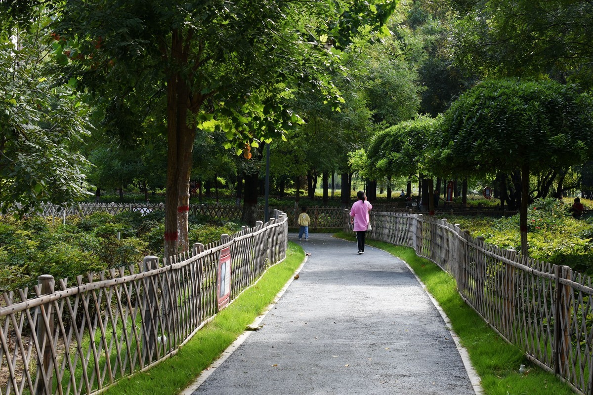 随手拍照而已之一