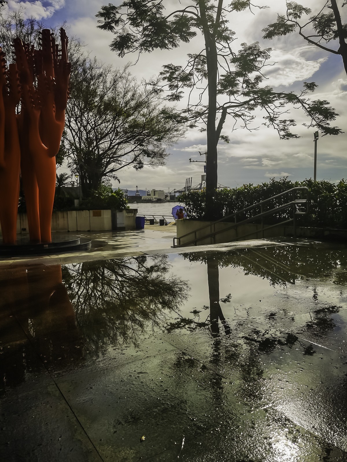 #雨中景#