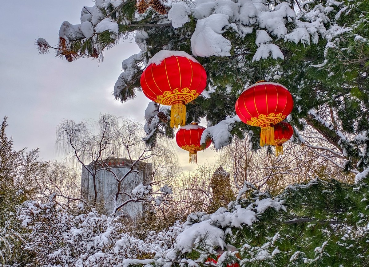 瑞雪兆丰年（4）