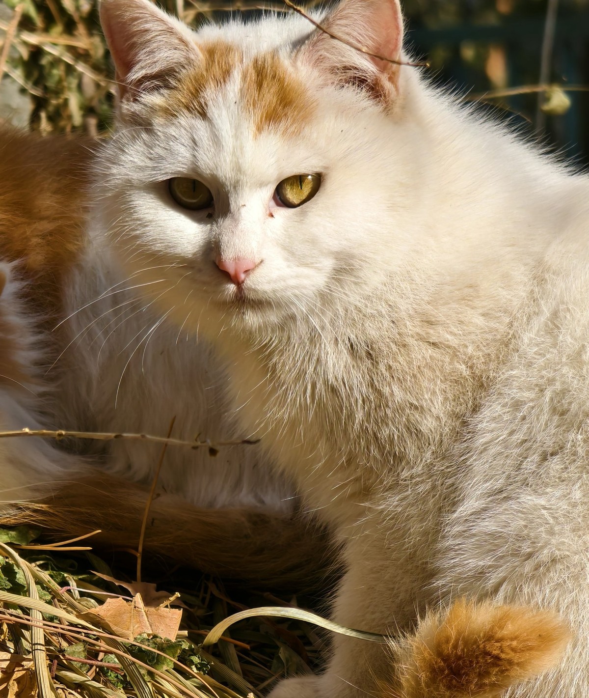 一点生活分享照