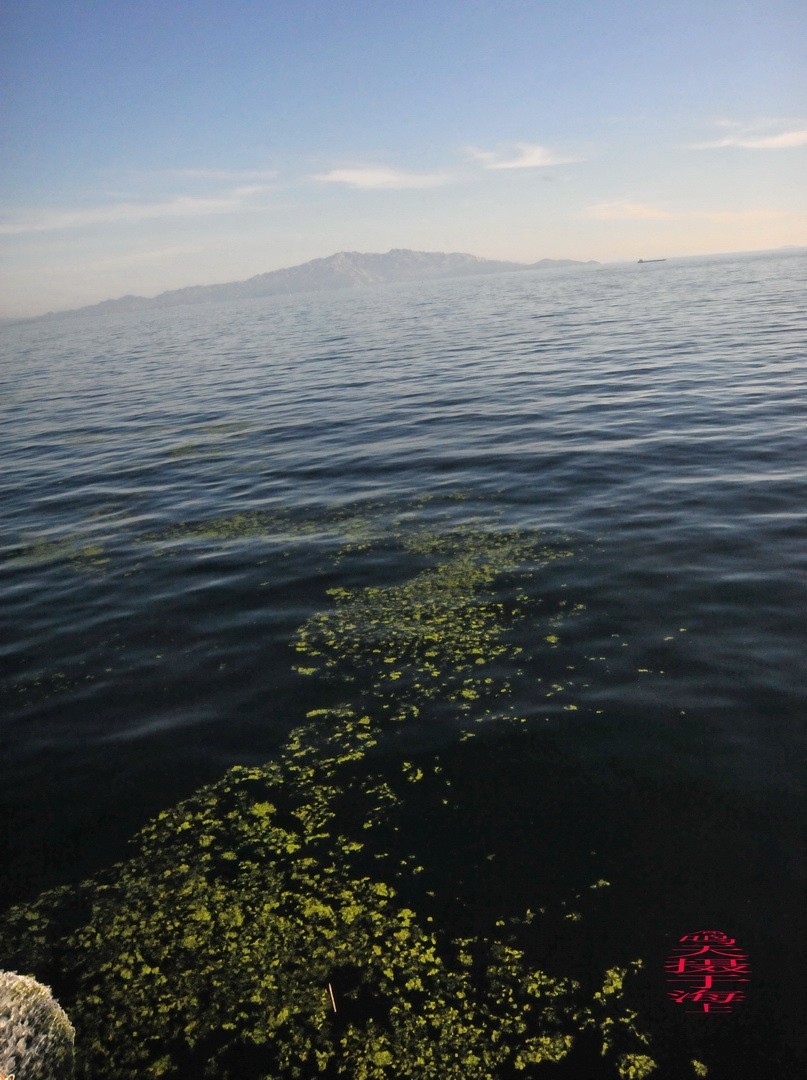 海上看日出 邮轮舷歌    周鸣天