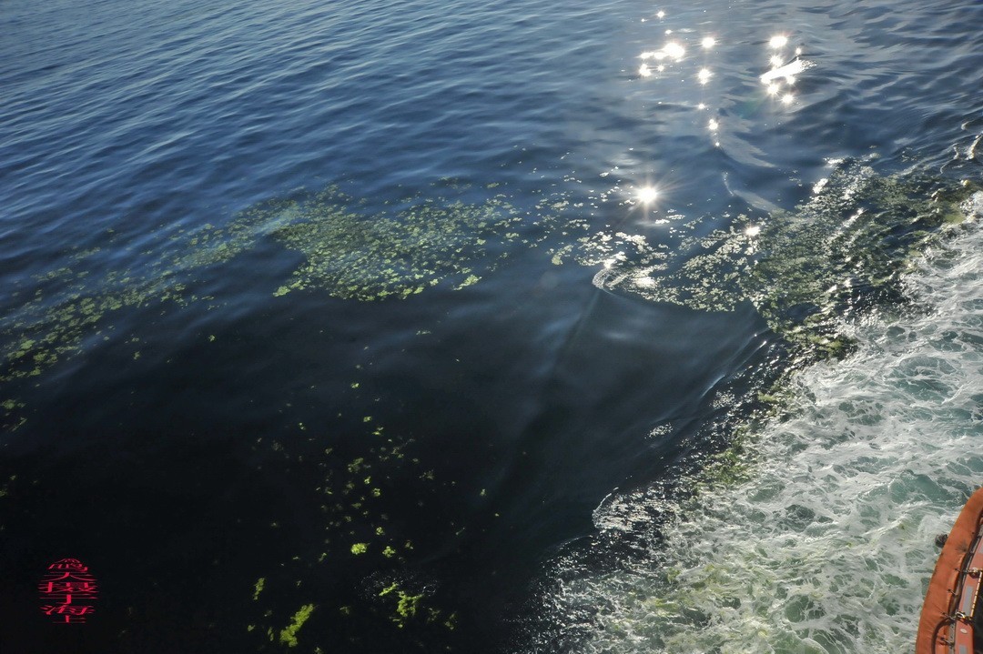 海上看日出 邮轮舷歌    周鸣天