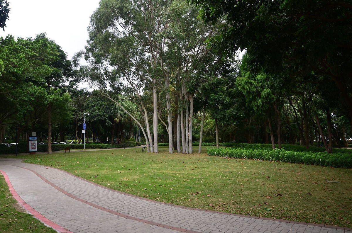 回忆片——珠海情侣路边