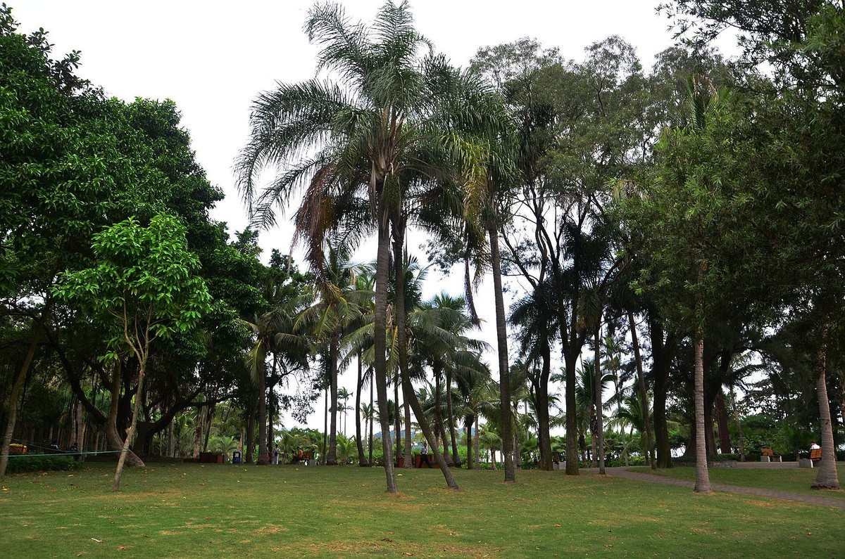 回忆片——珠海情侣路边