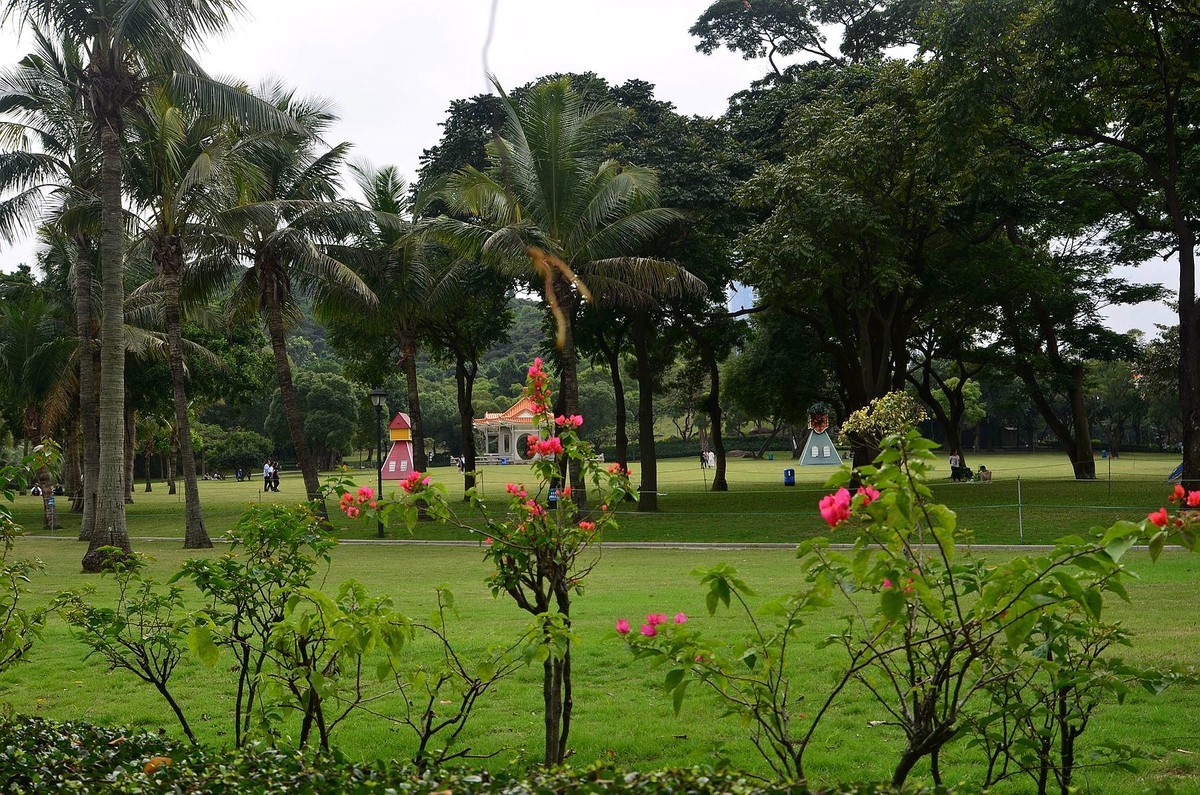 回忆片——珠海情侣路边