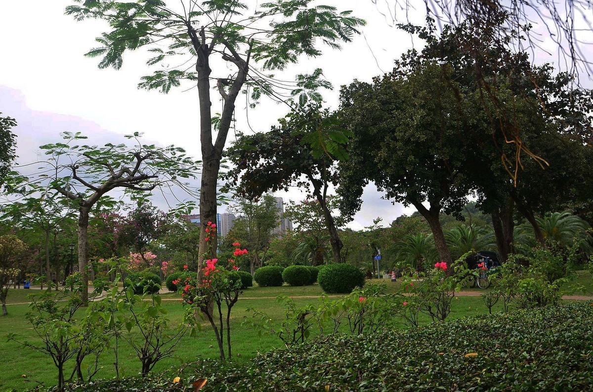 回忆片——珠海情侣路边