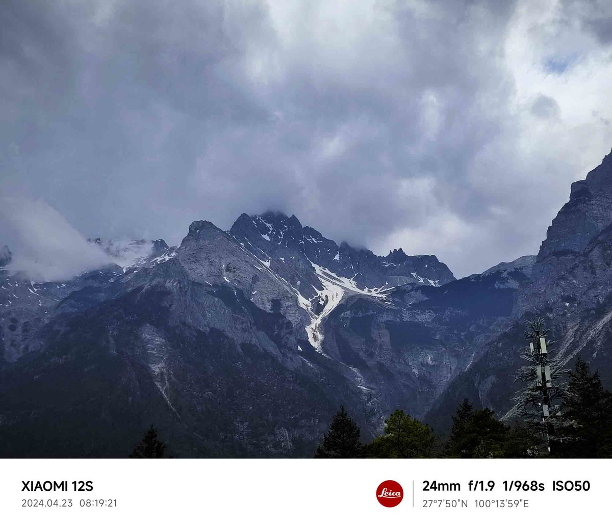 玉龙雪山云杉坪