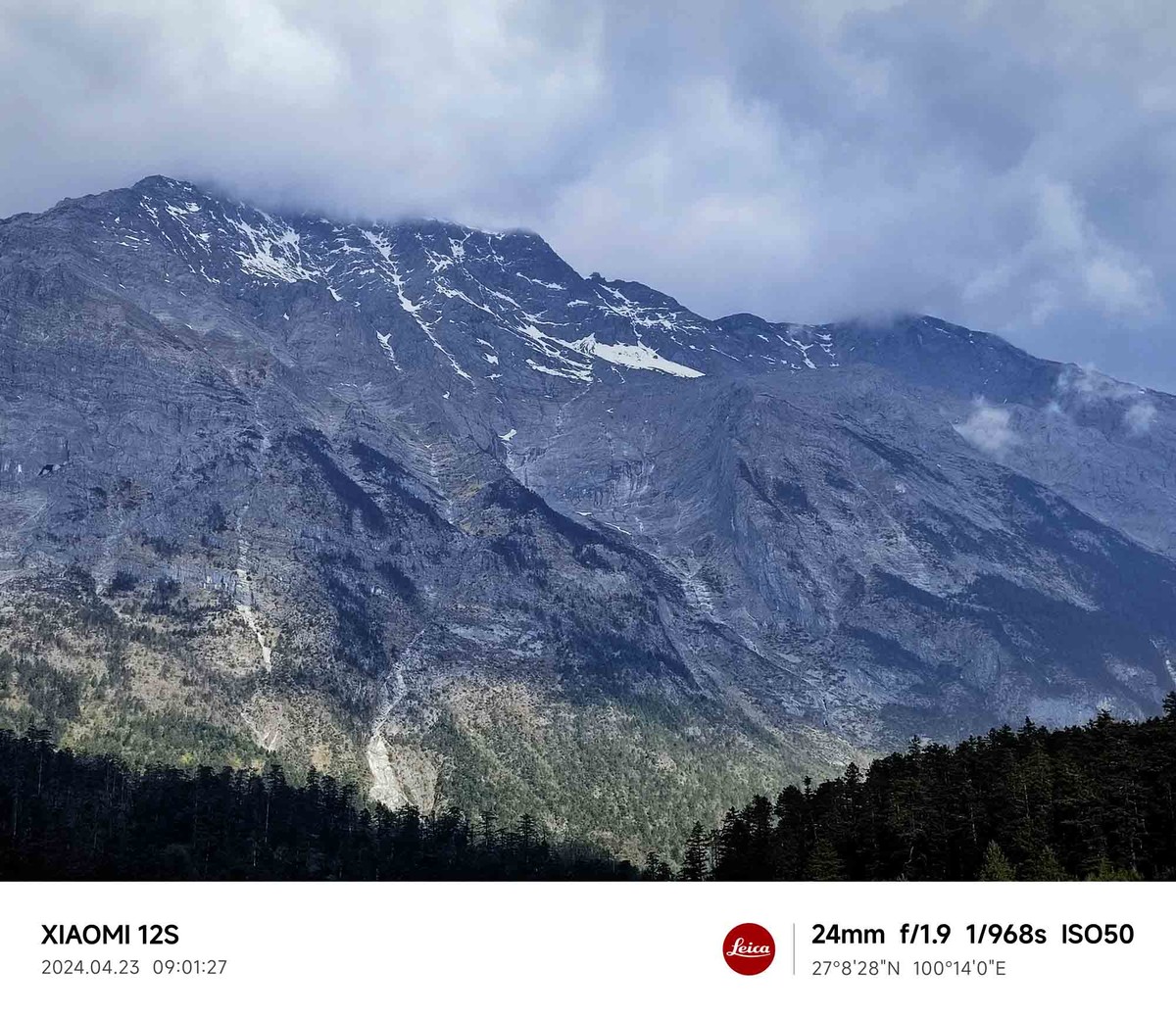 玉龙雪山云杉坪