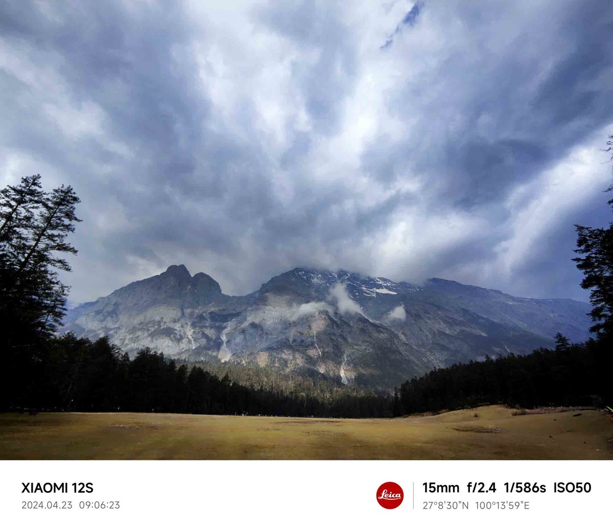 玉龙雪山云杉坪