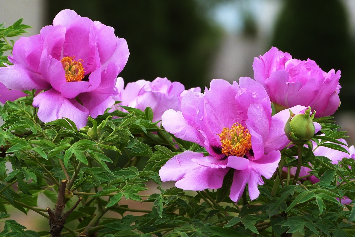 来松下FZ28星空(中国)看看！