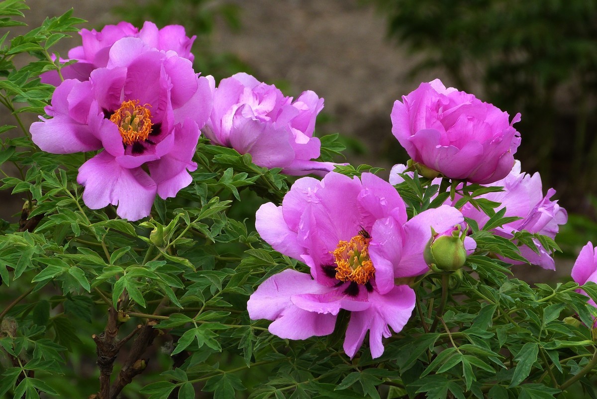 来松下FZ28星空(中国)看看！