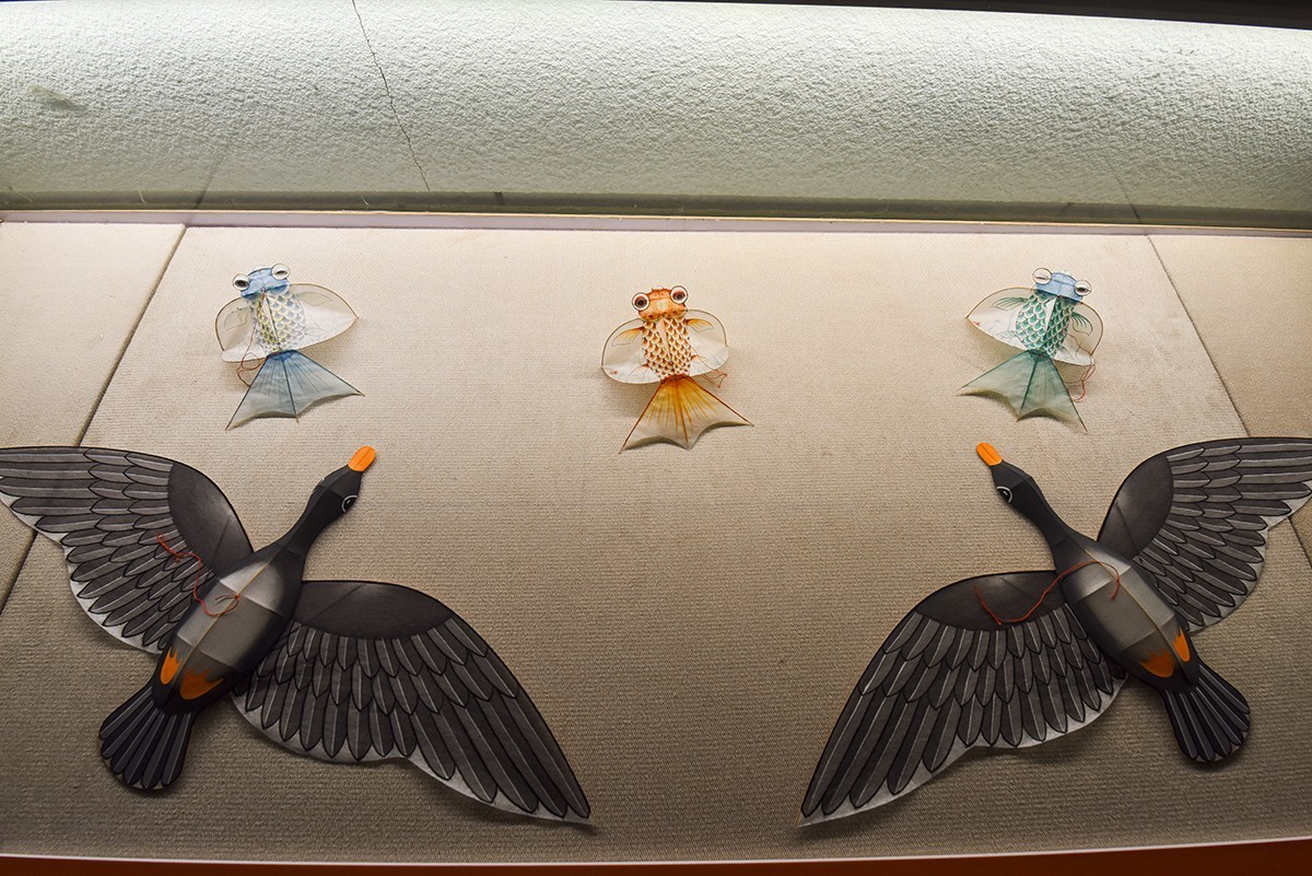 山东行 潍坊印象  风筝博物馆上