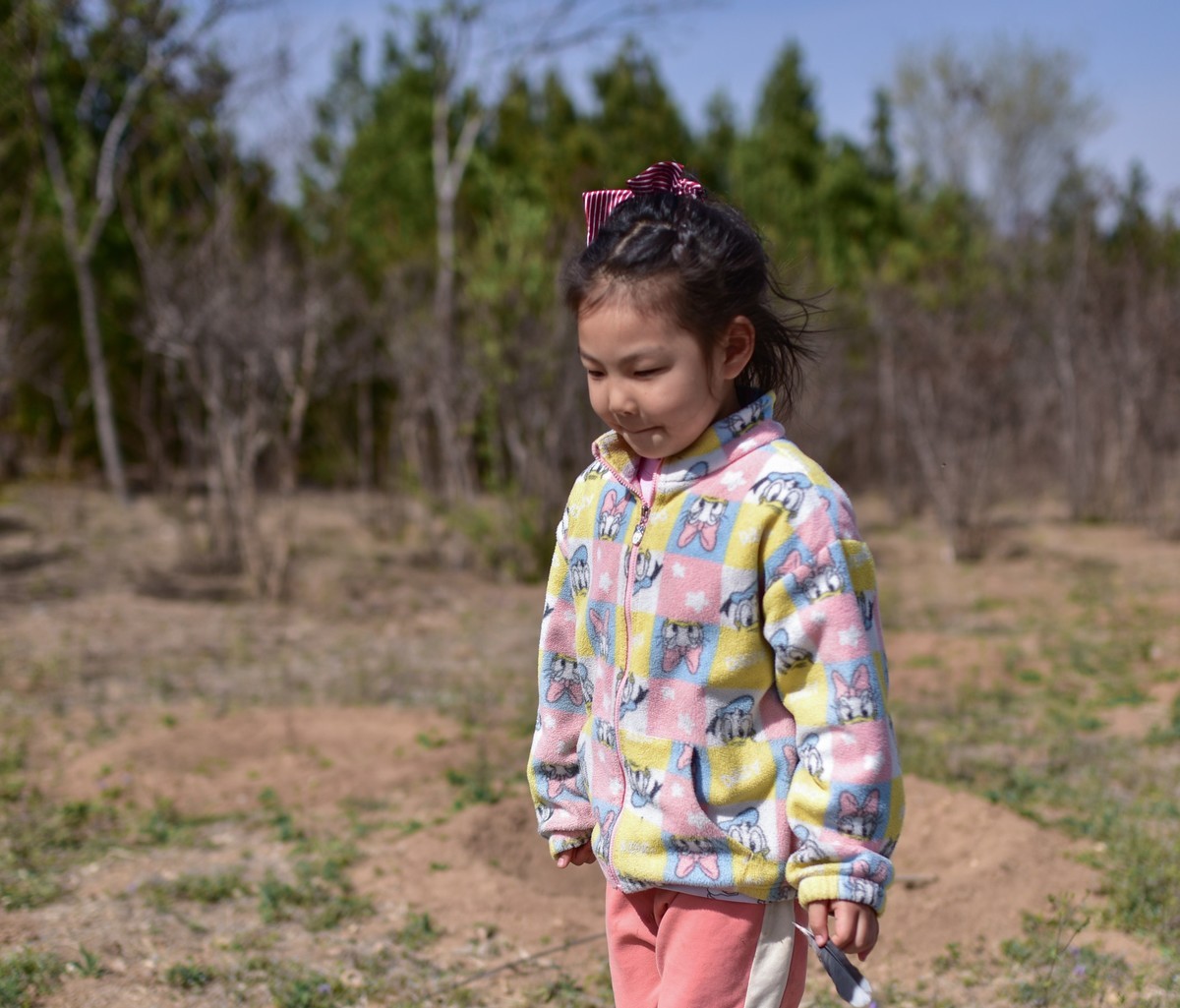 尼康D810+尼康50f1.8，效果极好