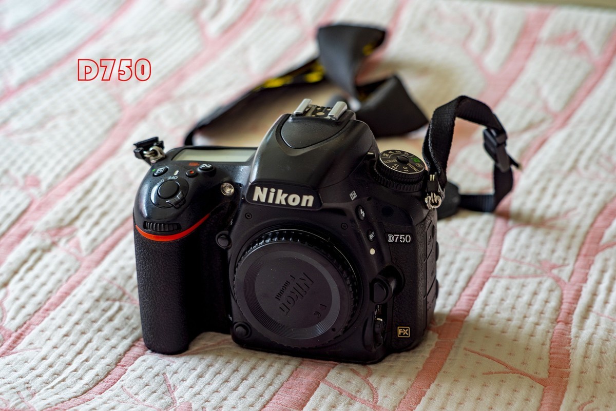 #尼康Z8# 我与尼康相机的情缘