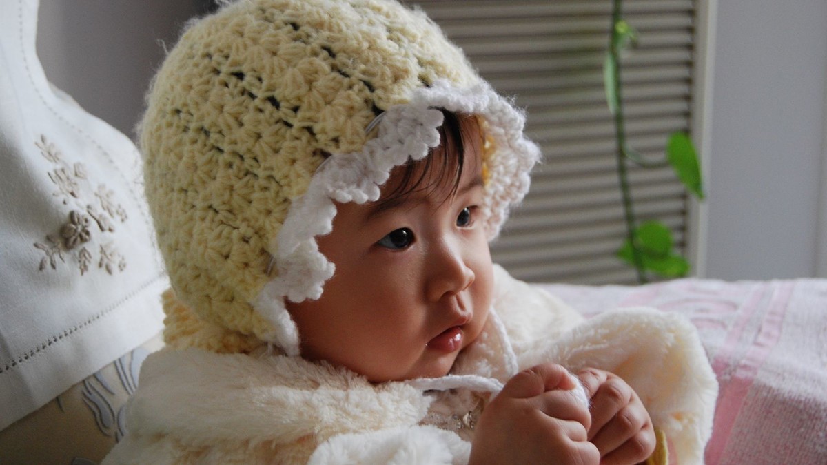 #尼康Z8# 我与尼康相机的情缘